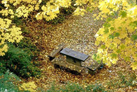 Copyright: Wolfgang Detemple (1)